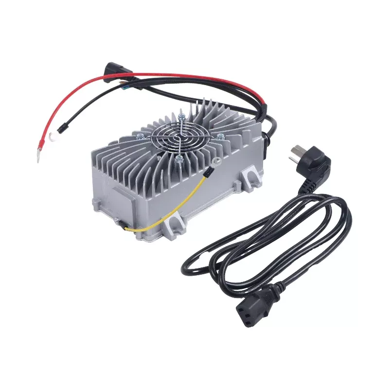 24V 15A Battery Charger ESCH24V15A 1130-510000-00 for Big Joe Electric Pallet Jack E30
