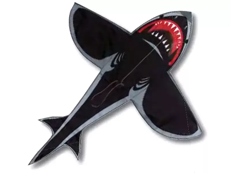 4′ Sea Hunter