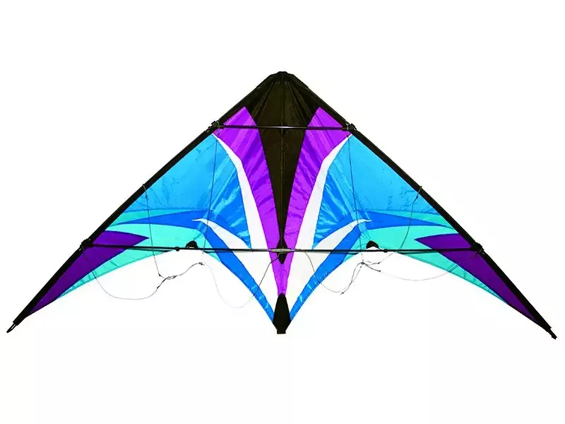 69.5″ Thunderstruck Stunt Kite: Cool