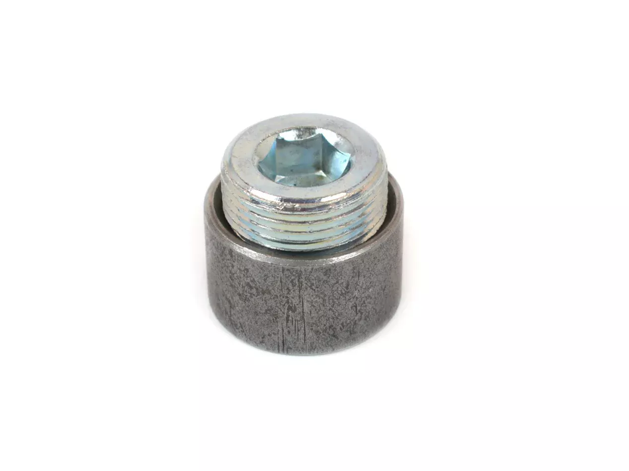 Inspection Plug