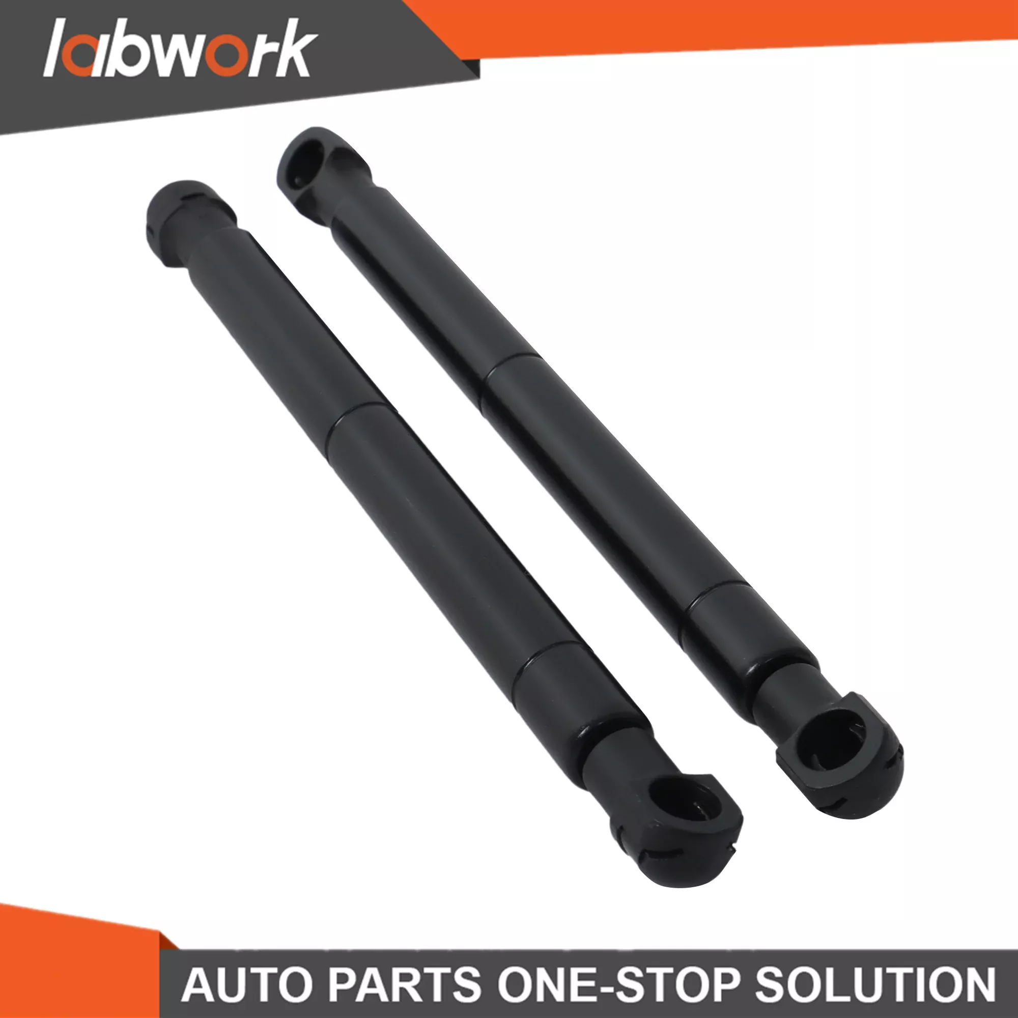 Labwork 2PK Steering Damper Shock Absorber For Hustler FasTrak and Raptor 603983