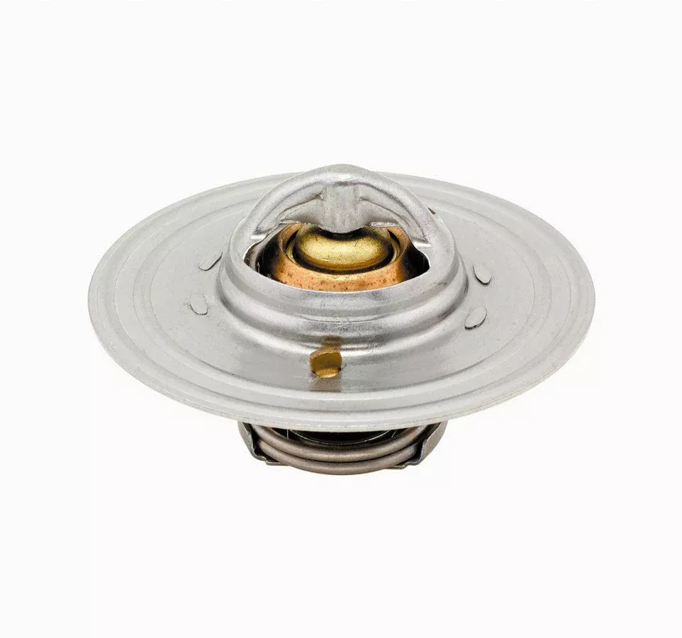 Thermostat 160 Deg