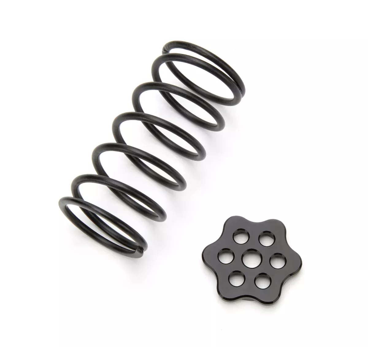 TI22 Performance - Master Cylinder Return Spring Black Steel Kit