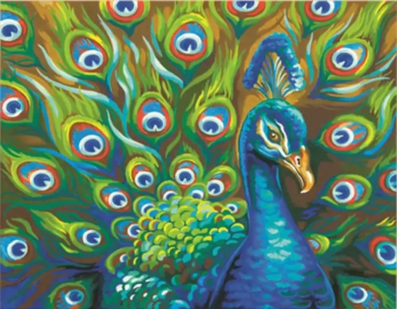 Wild Feathers (Peacock) Paint by Number (14″x11″)